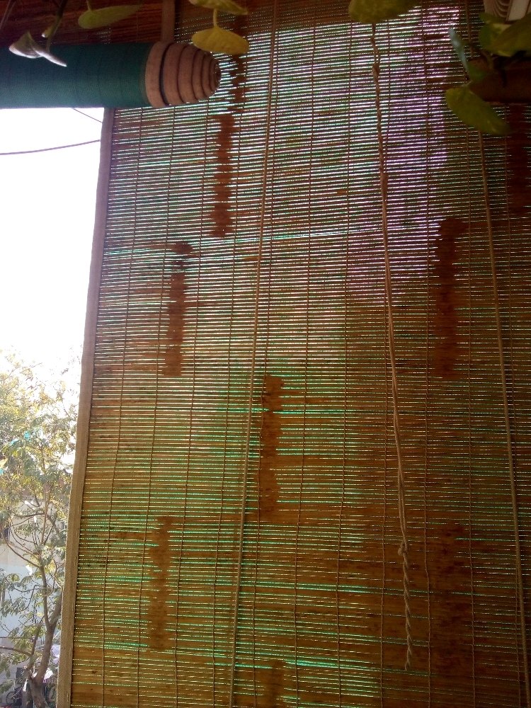 Bamboo Blind Curtains Brown , For Home, Type: Roller Blinds - Image 2